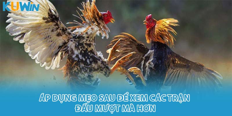 Áp dụng mẹo sau để xem các trận đấu mượt mà hơn