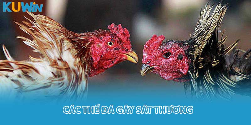 Các thế đá gây sát thương