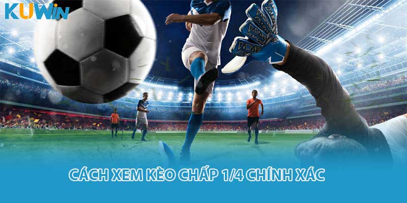 Cách xem kèo chấp 1/4 chính xác