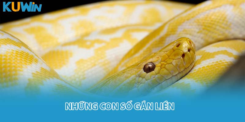 Những con số gắn liền